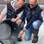 250.000 Aale finden ein neues Zuhause in Ostfriesland